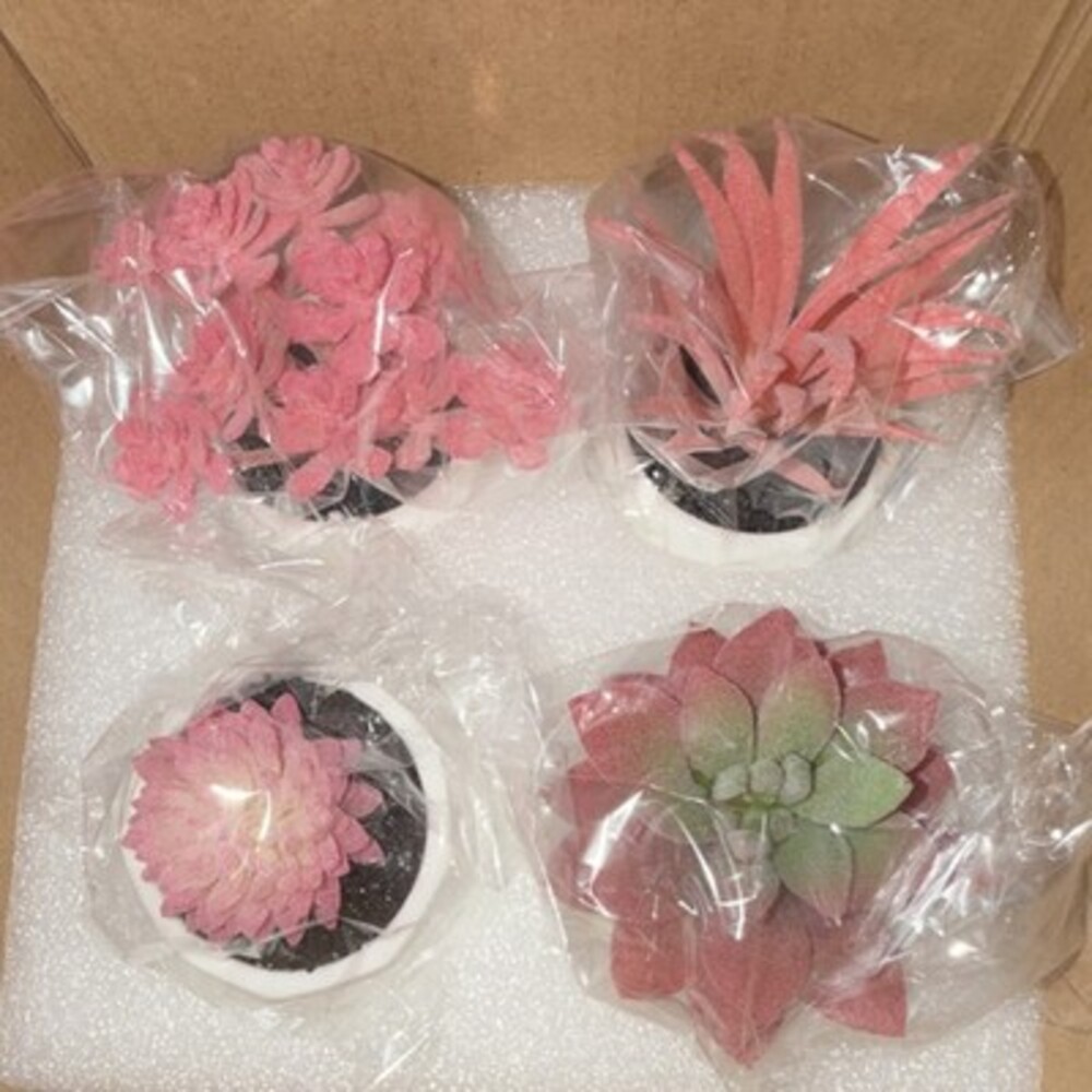 CADNLY Artificial Succulent Arrangement Set of 4 Pink Green Plants in White Pots